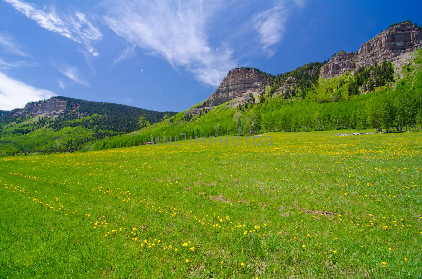 Pasture in the San Juan Mountains in Colorado by robert.bohrer25@gmail.com