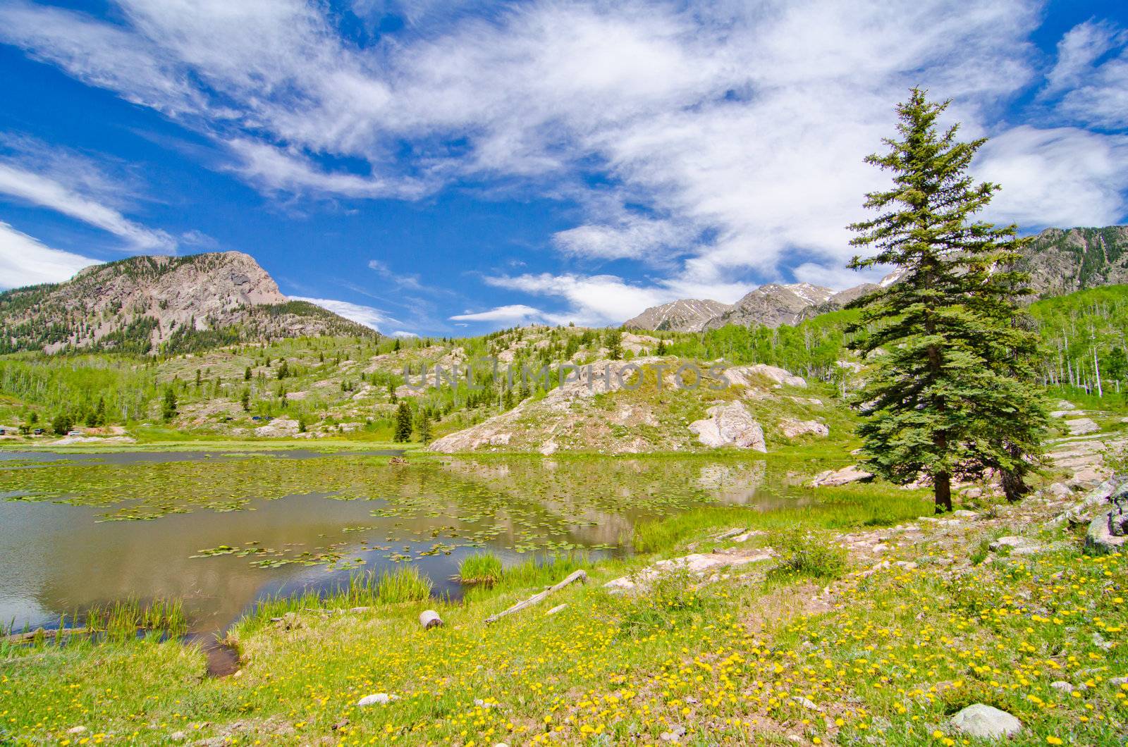 Beaver Lagoon in the San Juan Mountains in Colorado by robert.bohrer25@gmail.com