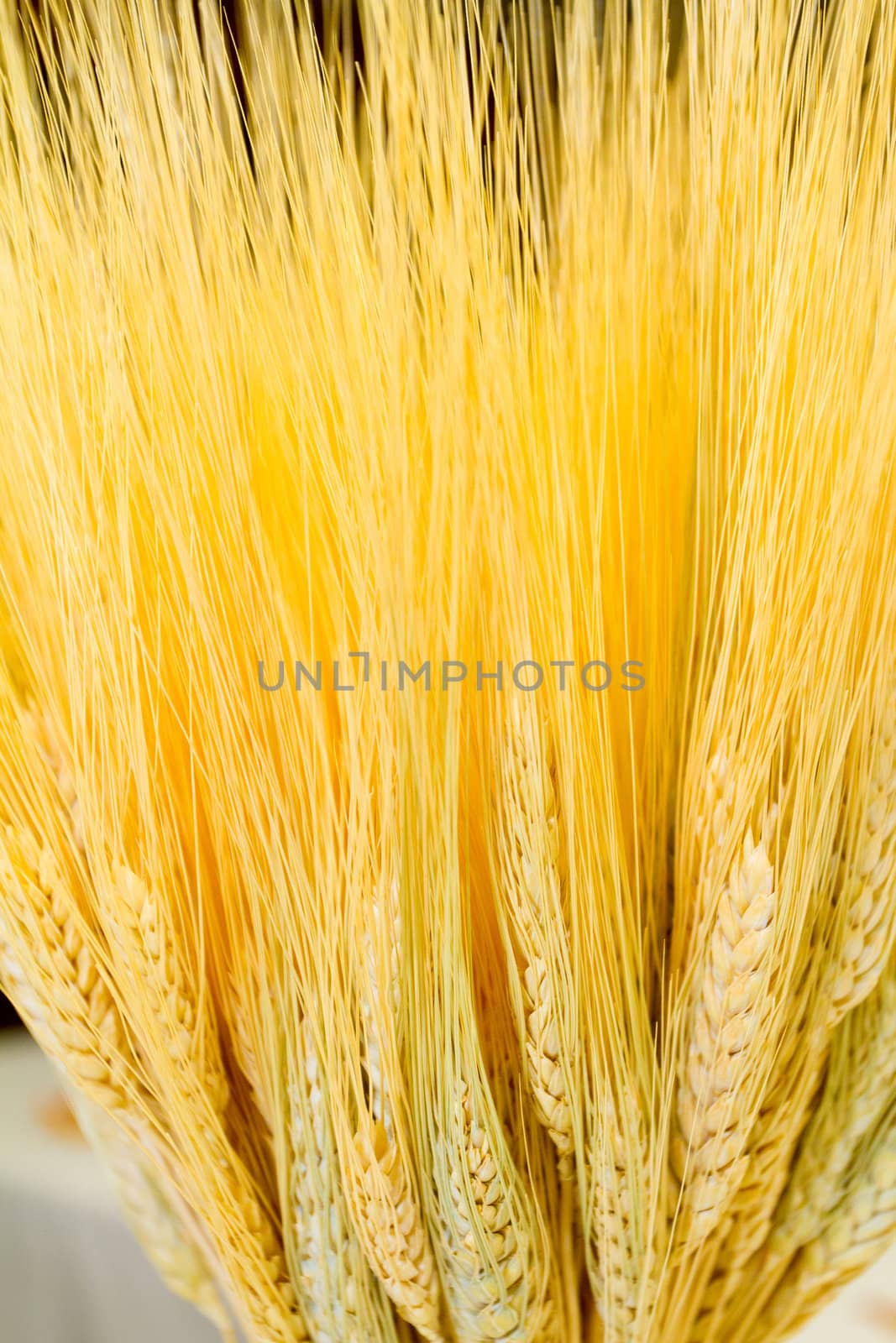A bundle of wheat is wrapped and used for decor at a harvest style wedding.