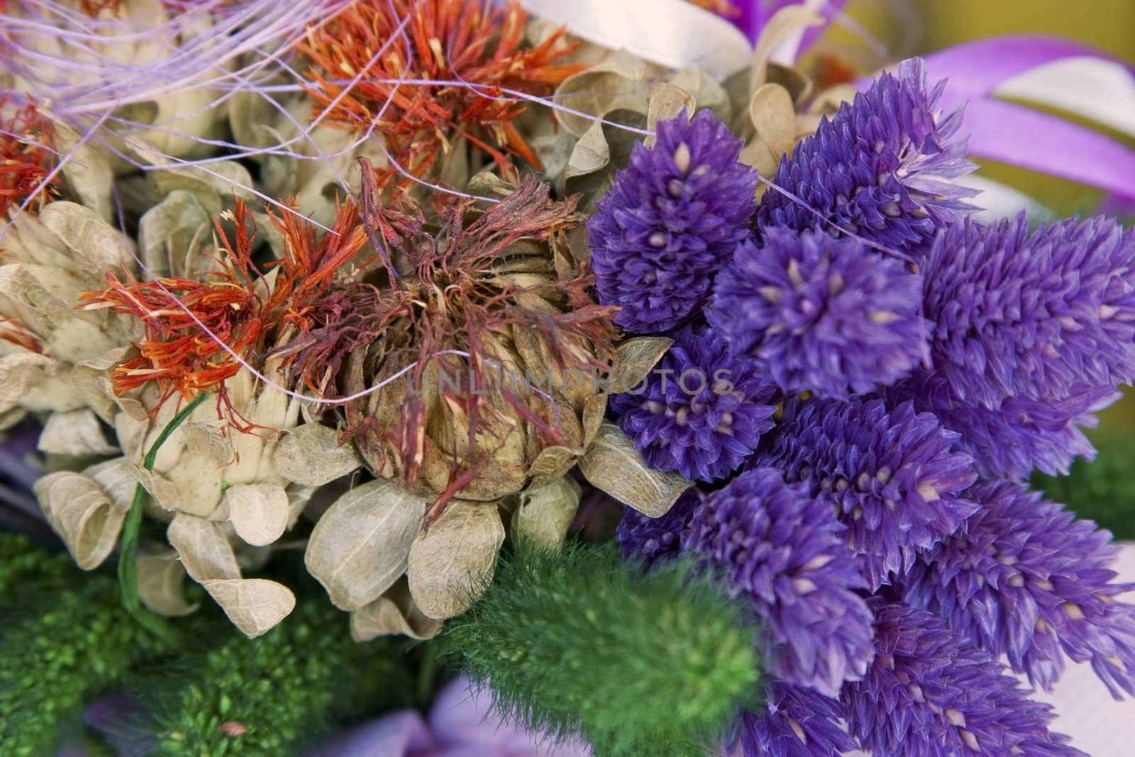 Detail of a bouquet of dried flowers