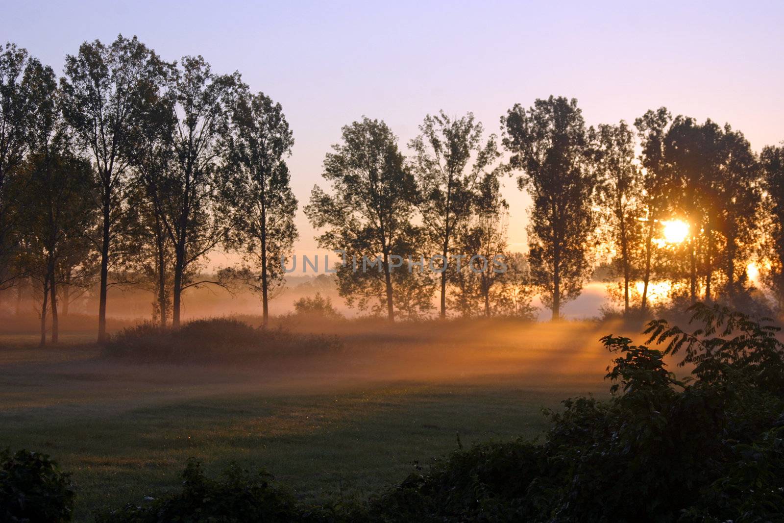 A late summer misty sunrise. 