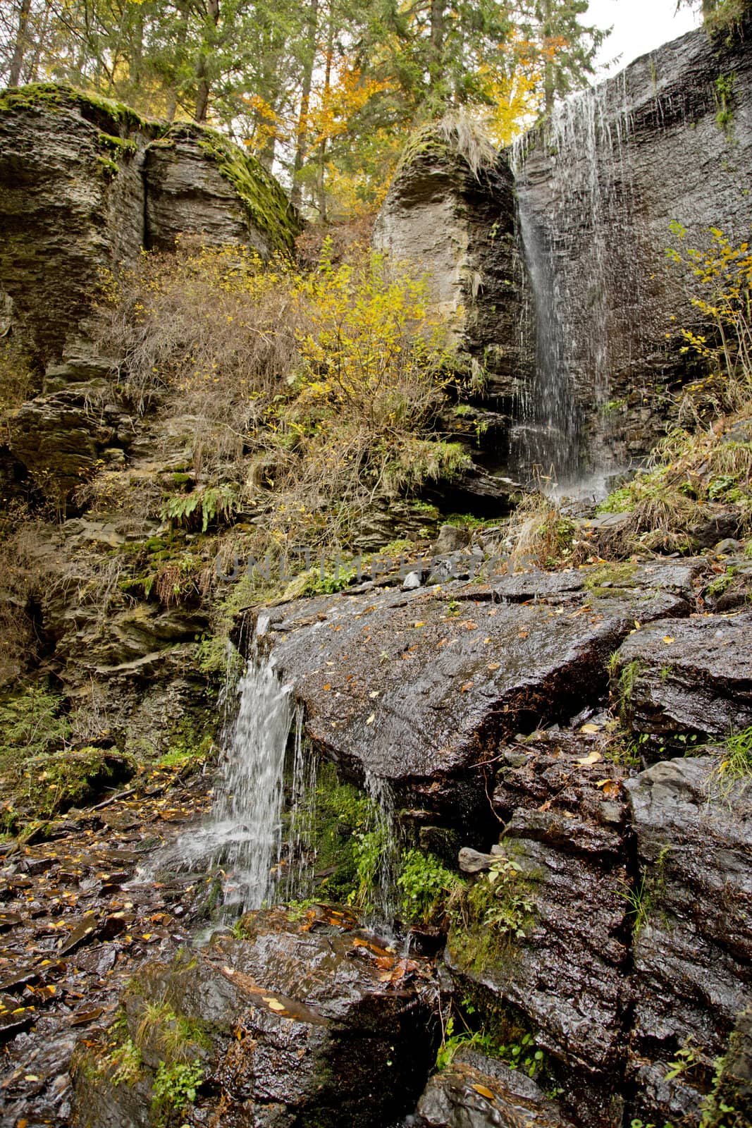 Closeup of a nice waterfall in a forest