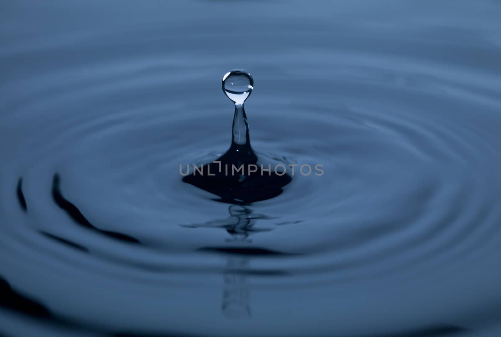 Drop splashing in the blue water