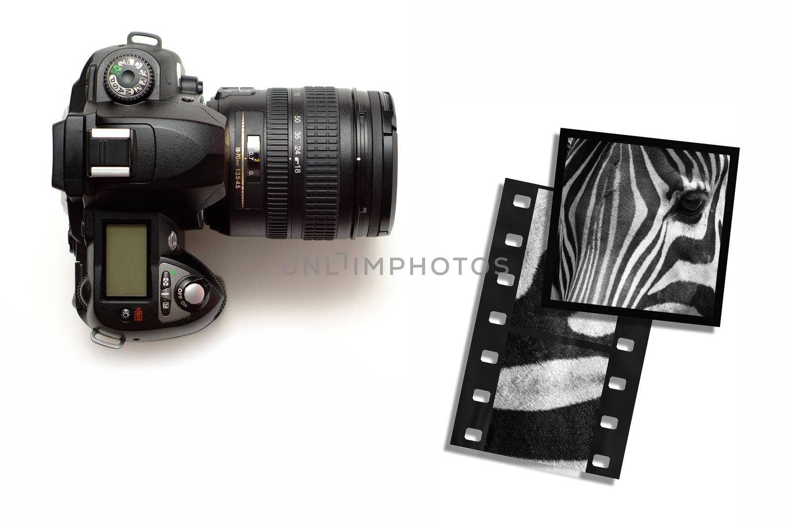 Modern digital slr camera or slide film camera with wildlife zebra images