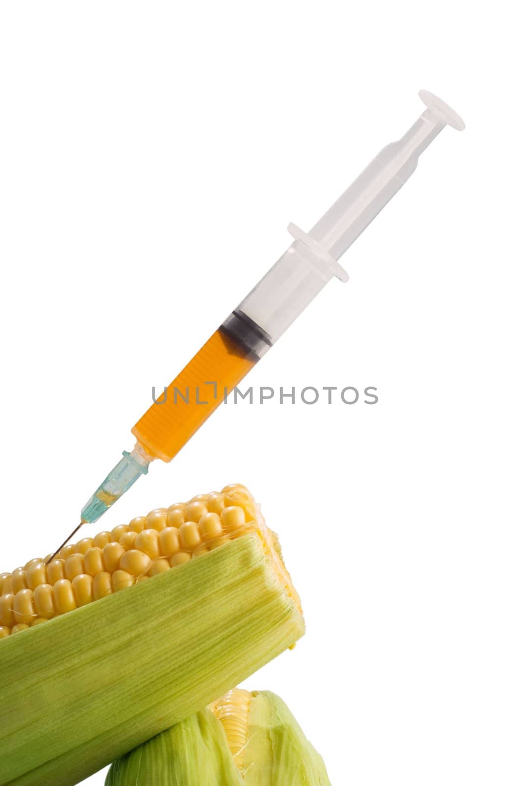 Corn and syringe extracting bio fuel