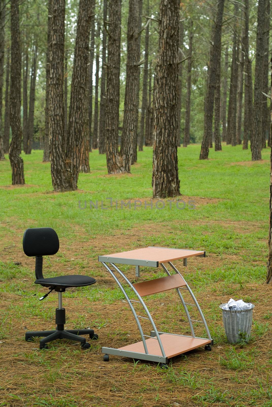 Office desk in forest by alistaircotton