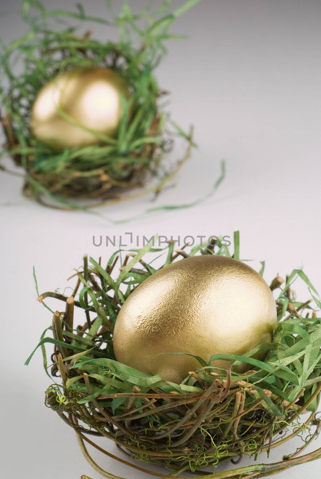 Single golden egg in dried out nest