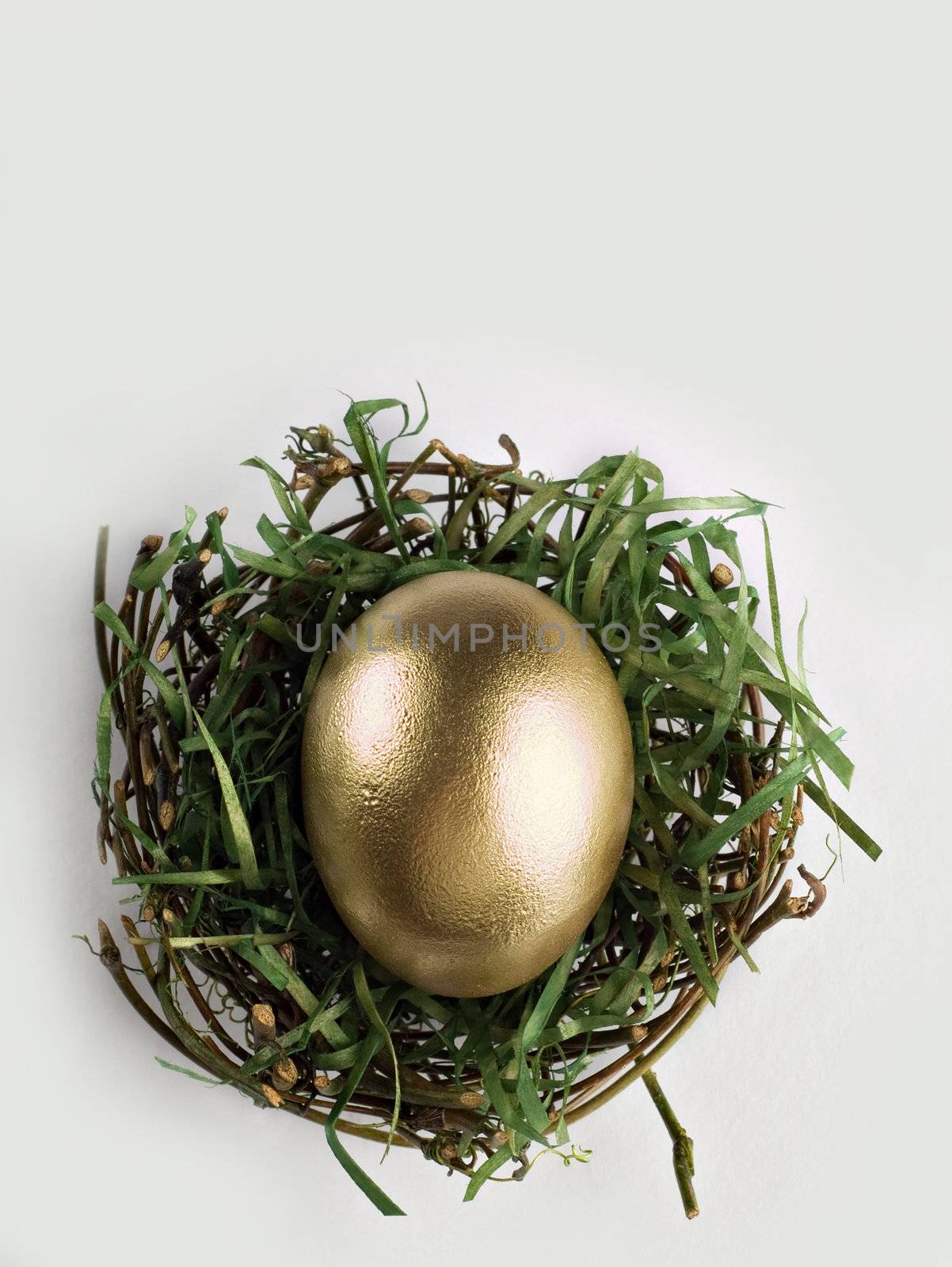 Golden egg in nest on grey by alistaircotton