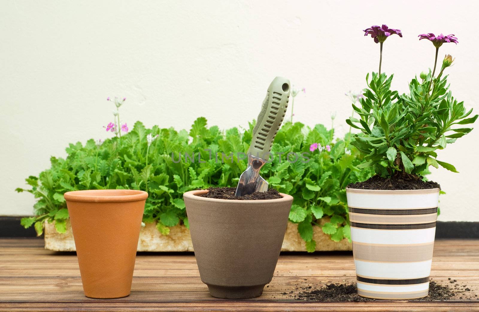 Three Clay Flower Pots in a Row by alistaircotton