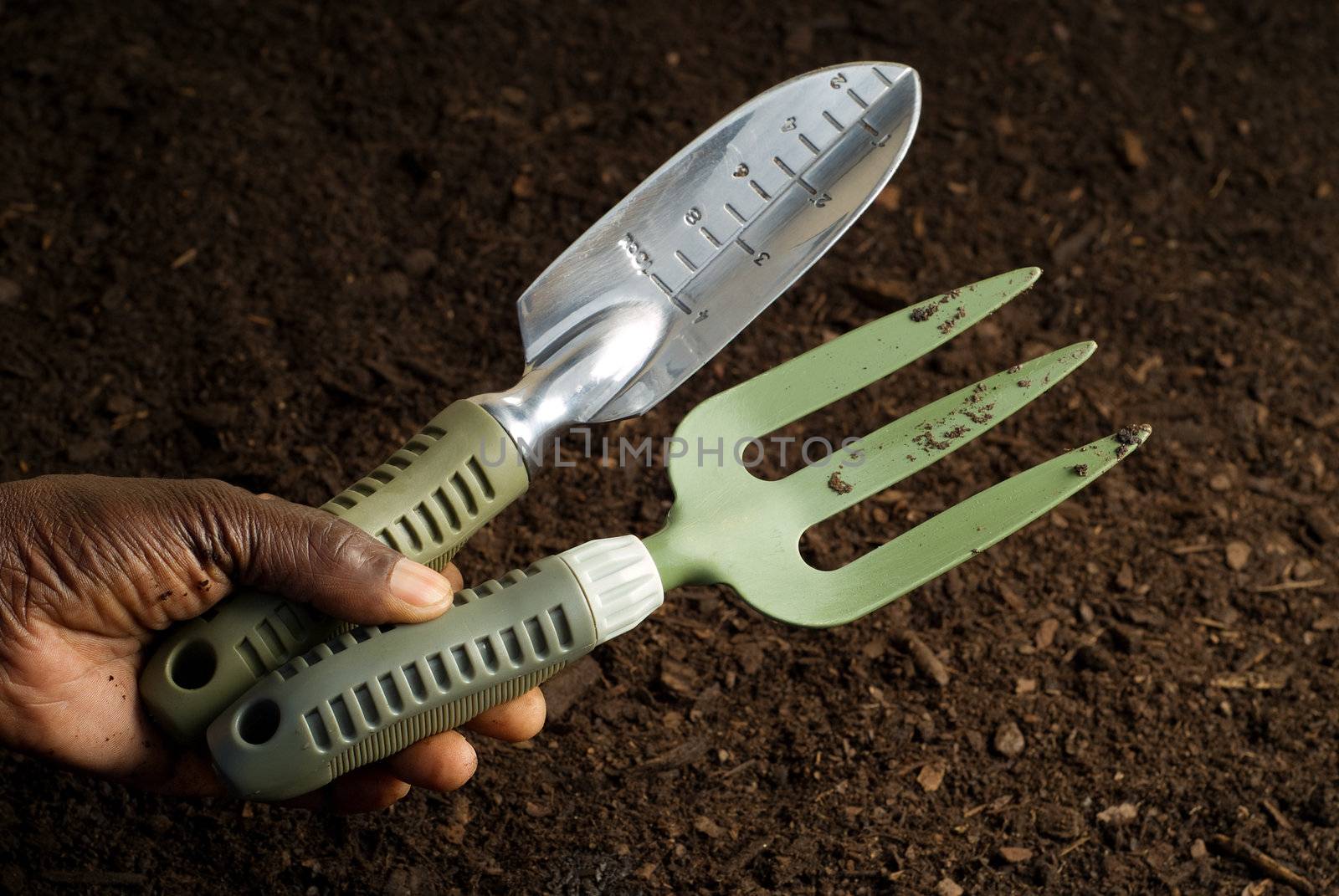 African American Hands Holding Gardening Tools on Soil Background