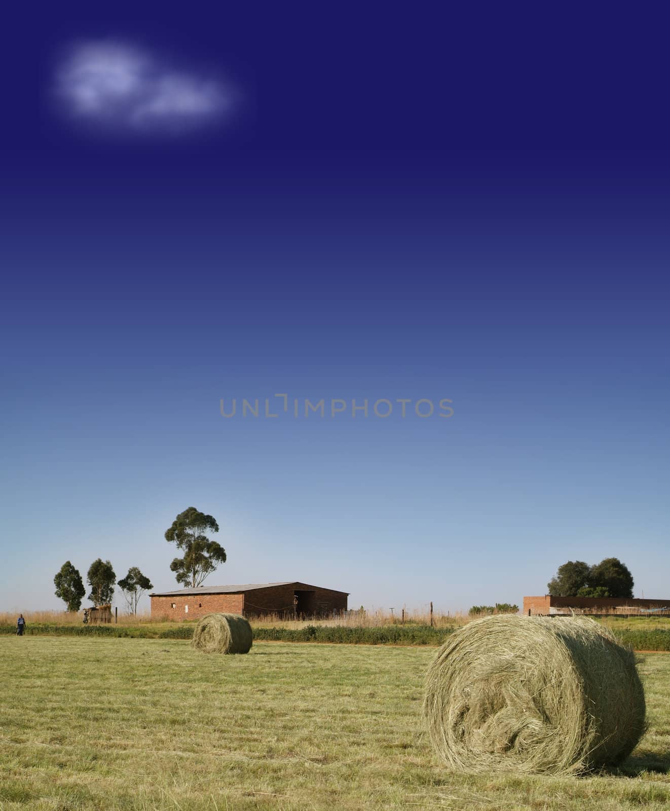 Colour farm scene with hay bails, farm house, farm worker, trees, barn and deep blue African sky with white cloud