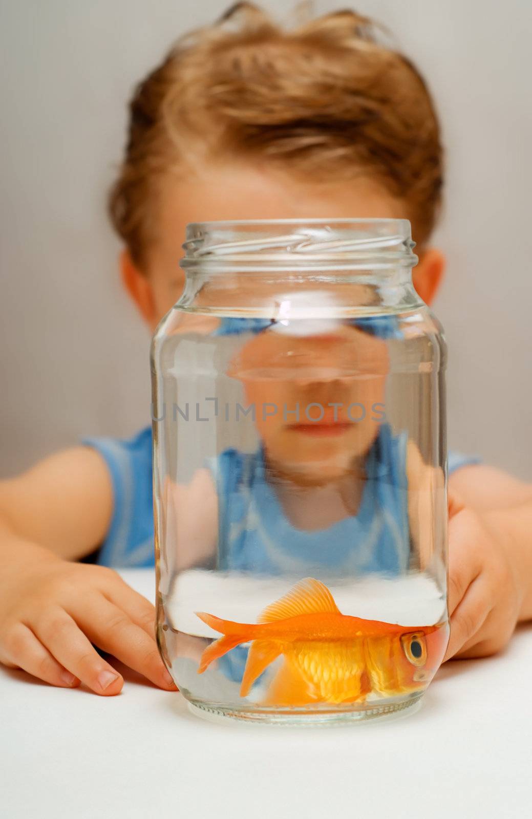 Scared goldfish with wide distorted eyes in water jar with toddler boy