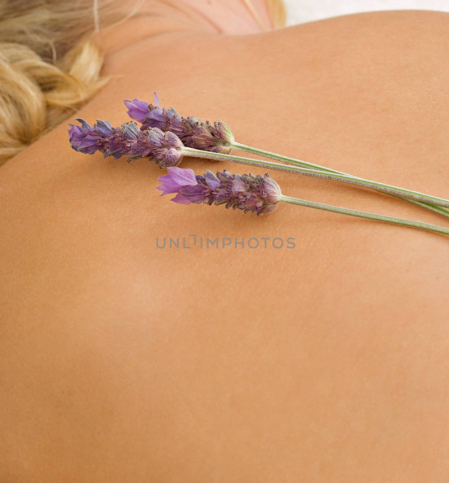 Beauty therapy and lavender by alistaircotton