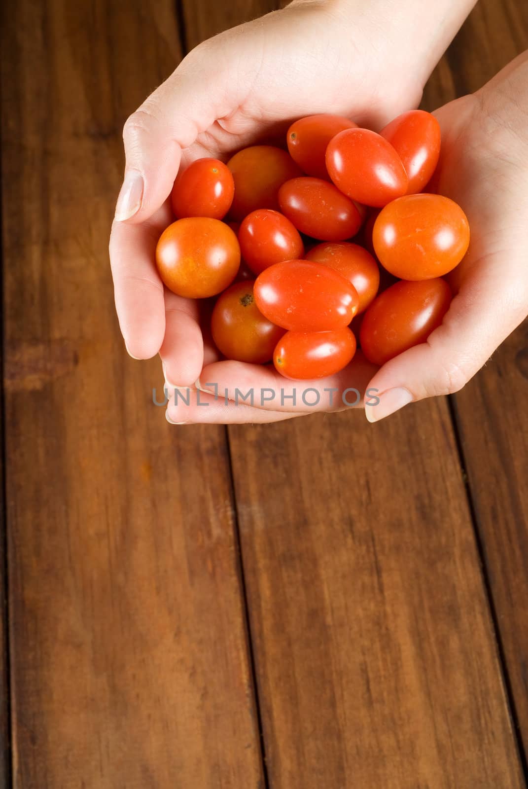 Woman chef hands holding a bunch or pile of tomatos over wooden table