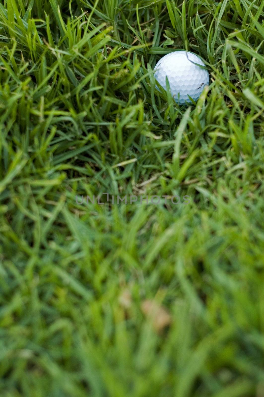 Golf ball in long rough grass - a bad lie