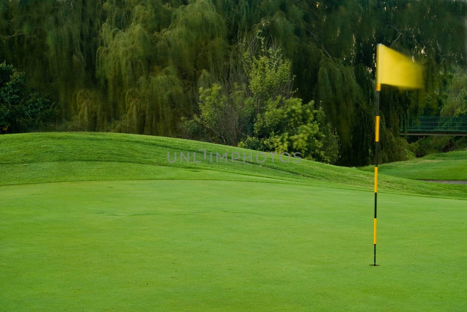 Wind or windy golf green with yellow flying flag and motion blur trees in the background.