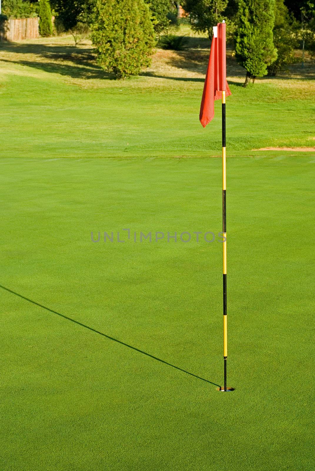 Flag and hole by alistaircotton