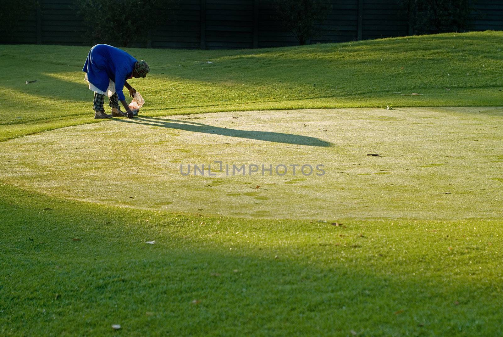 Golf green keeper or maintenance worker trims putting green edge in morning light.