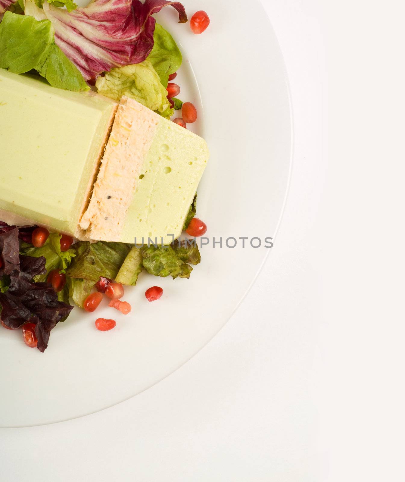 Salmon and avocado terrine on white plate with salad