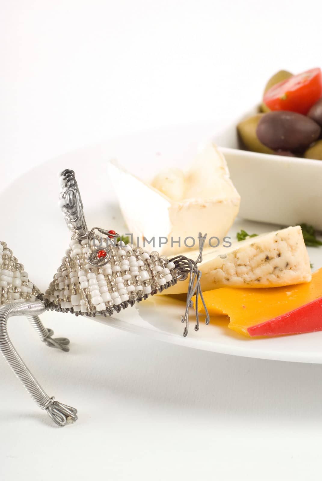 Fun wire mouse eating cheese platter