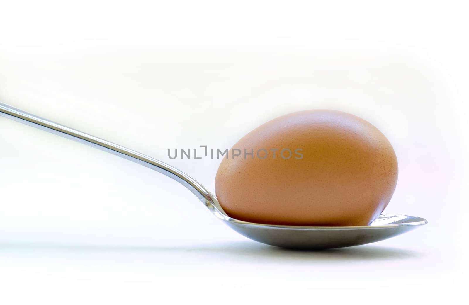 Fresh farm egg on breakfast spoon