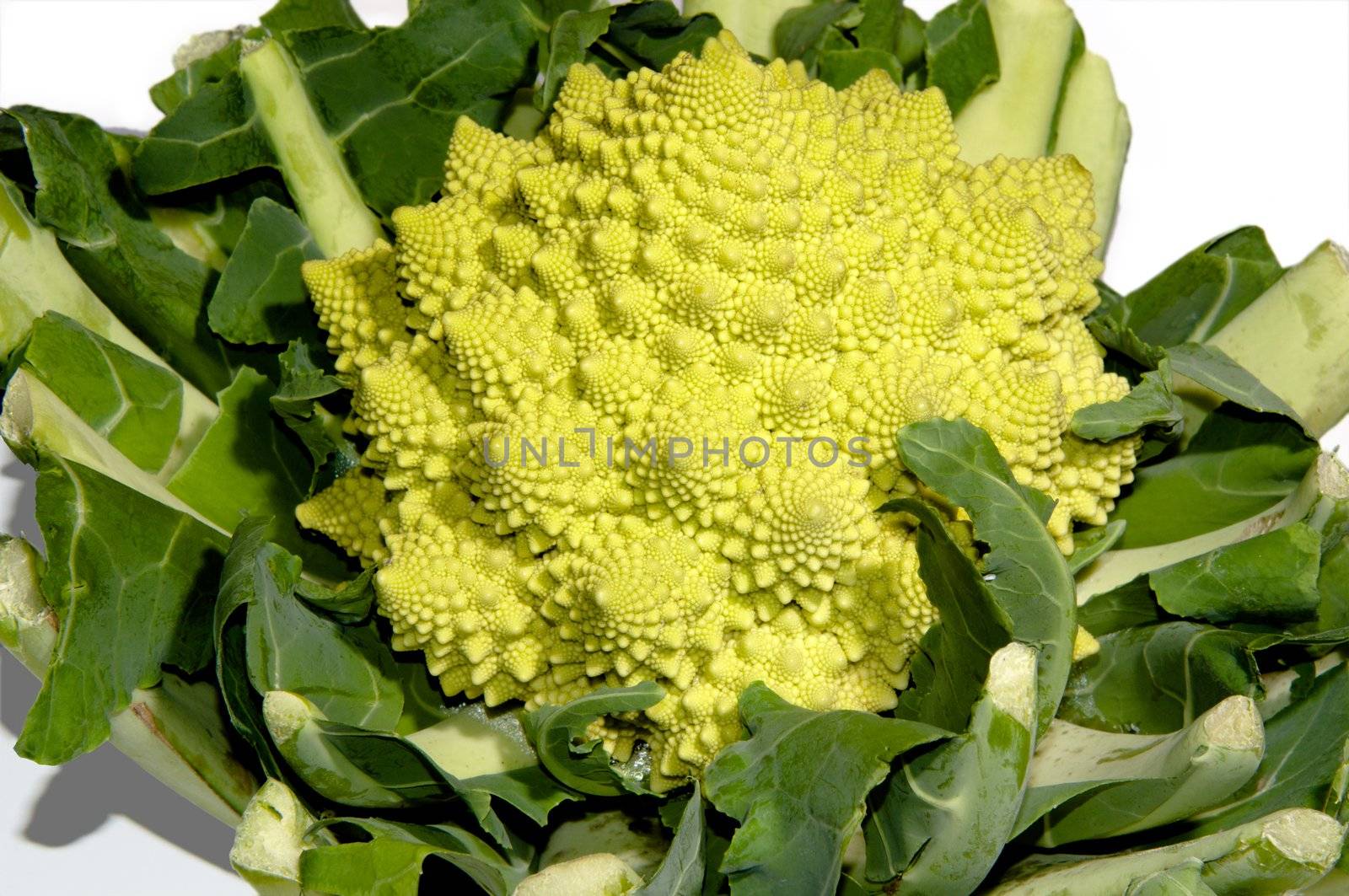 romanesco - italian broccoli cabbage isolated on white background