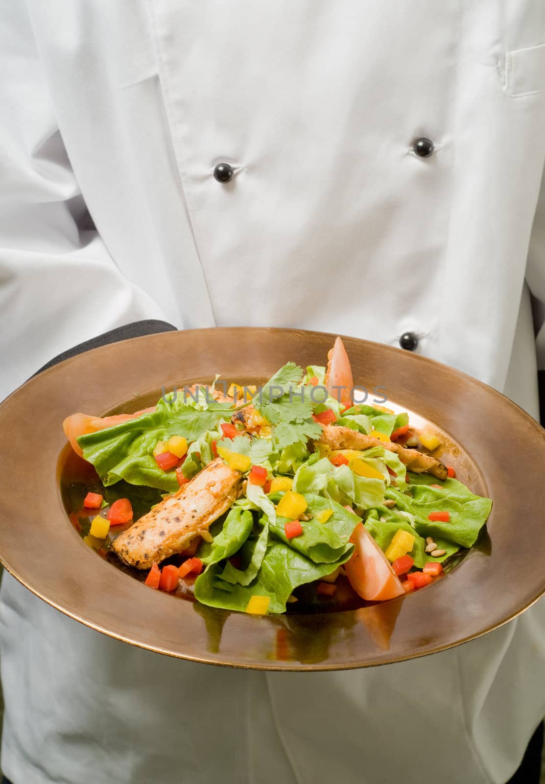 Close-Up of Chef Presenting Plate with Healthy Chicken Salad