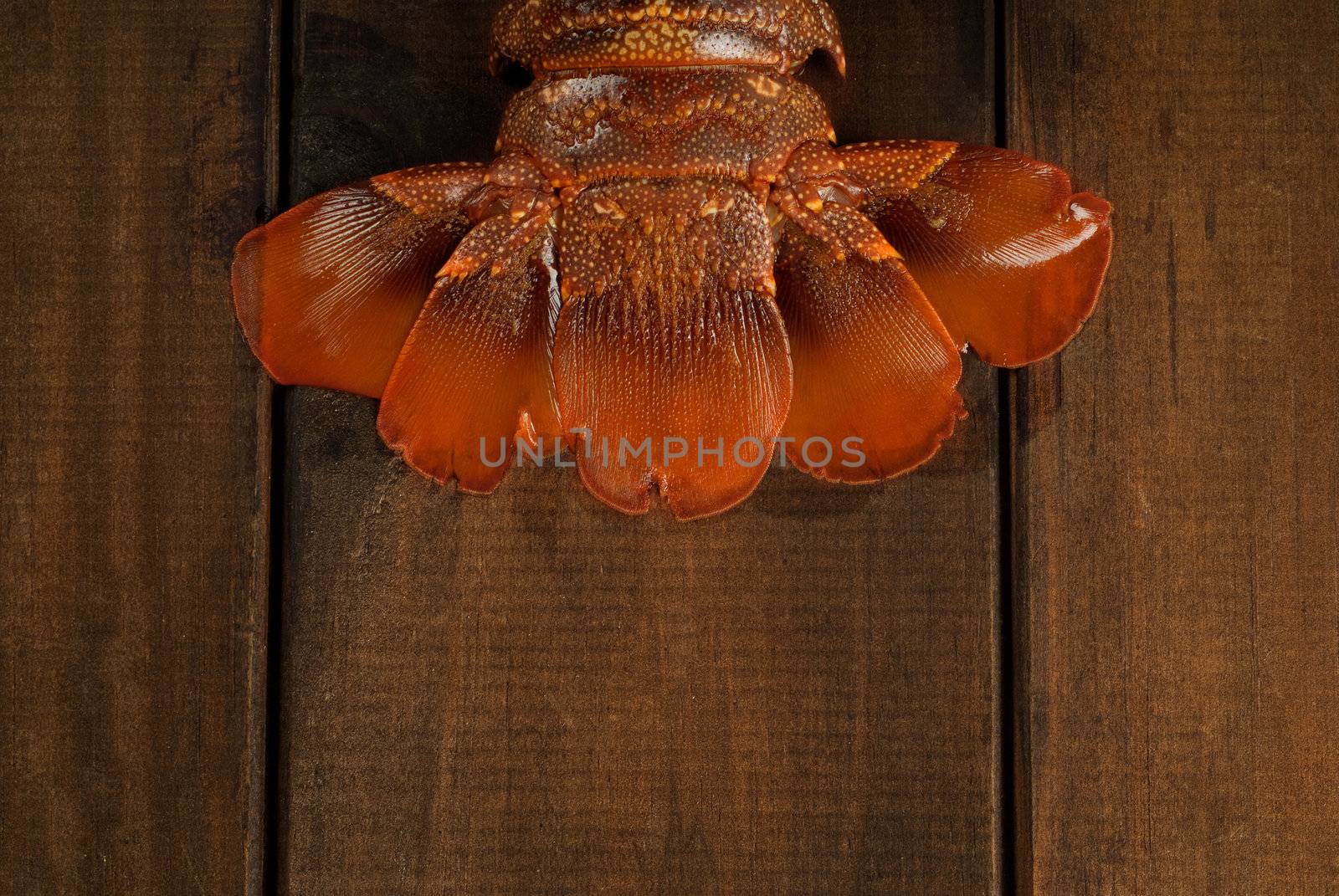 Crayfish tail on table by alistaircotton