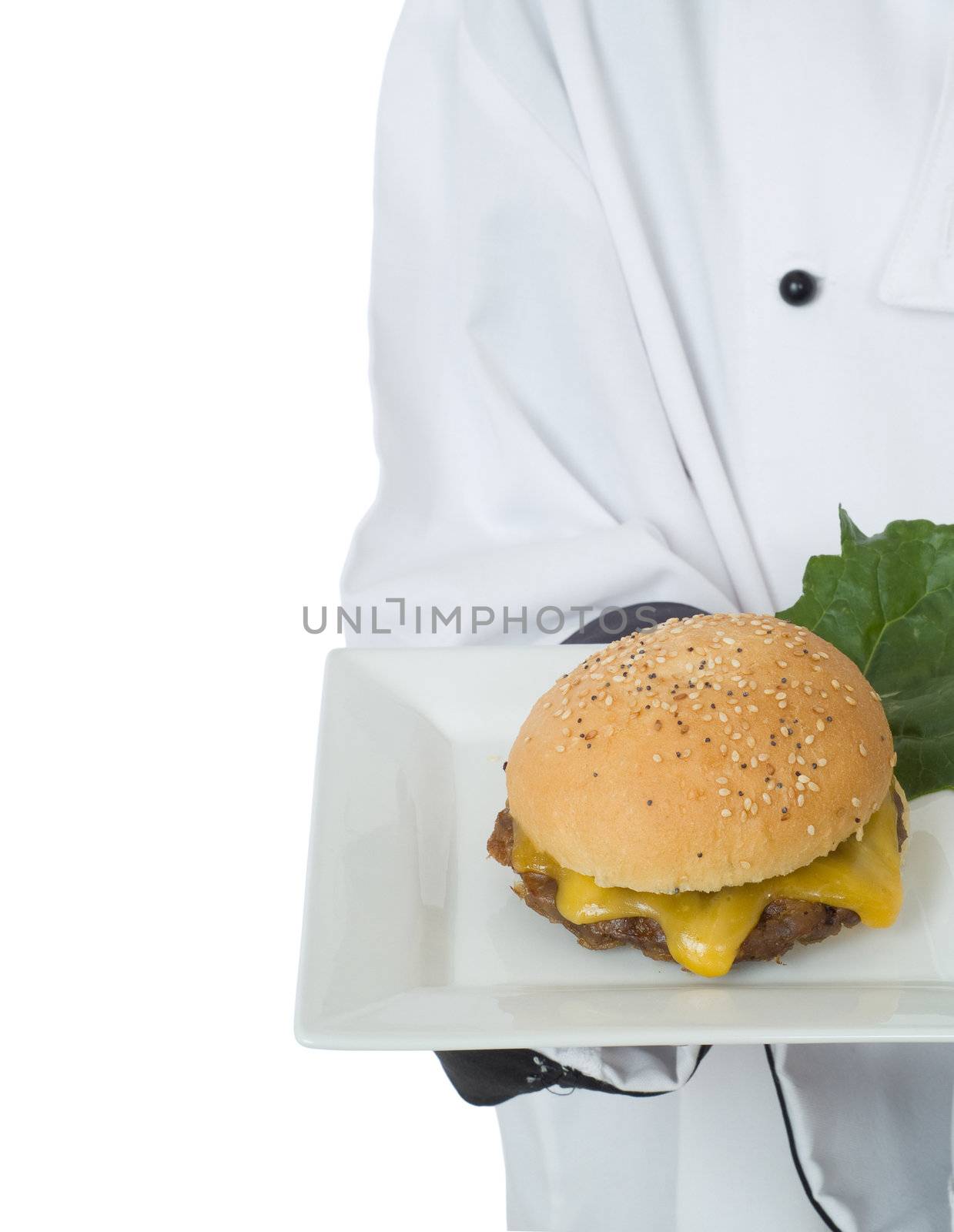 Chef or waiter serving cheesburger by alistaircotton