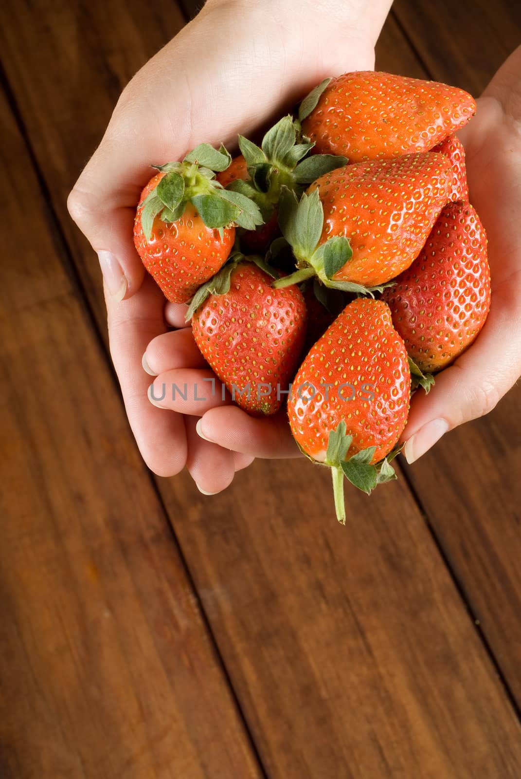 Pile or bunch of red strawberries in woman chefs hands over wooden table
