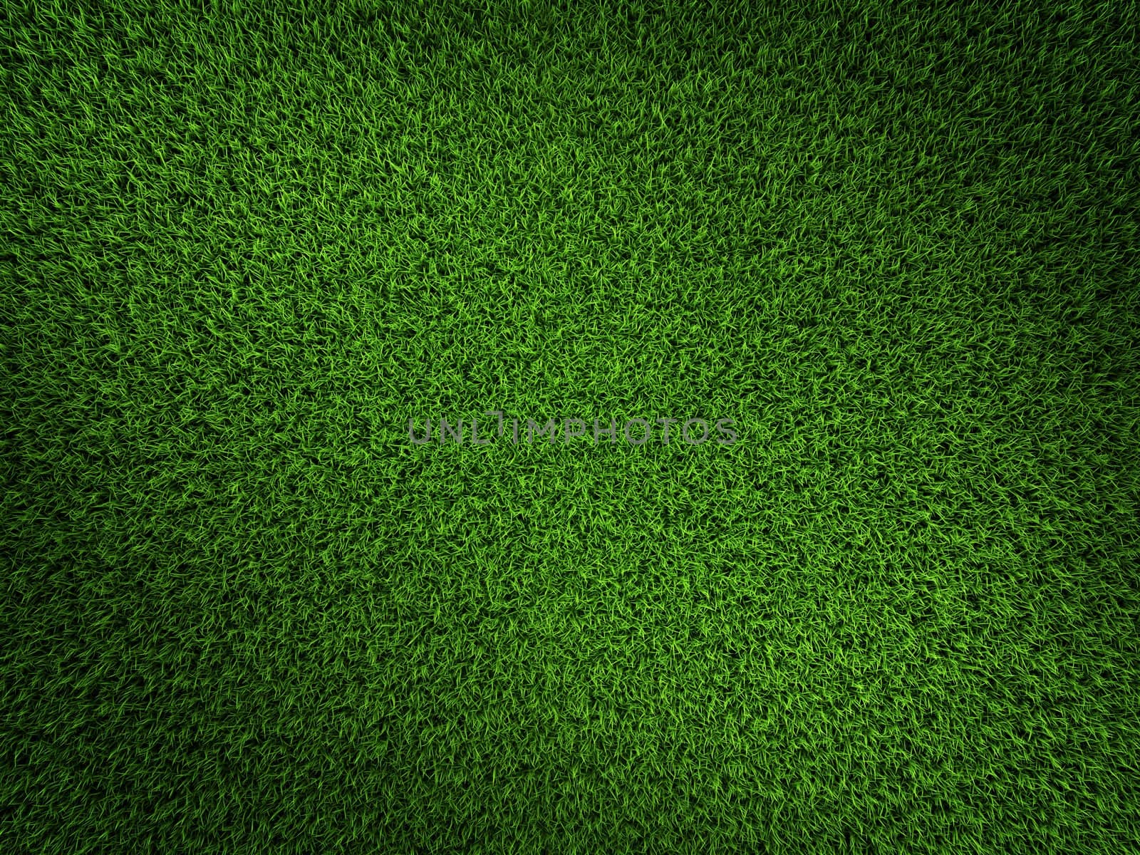 Fresh green grass background. Top view, 3d render