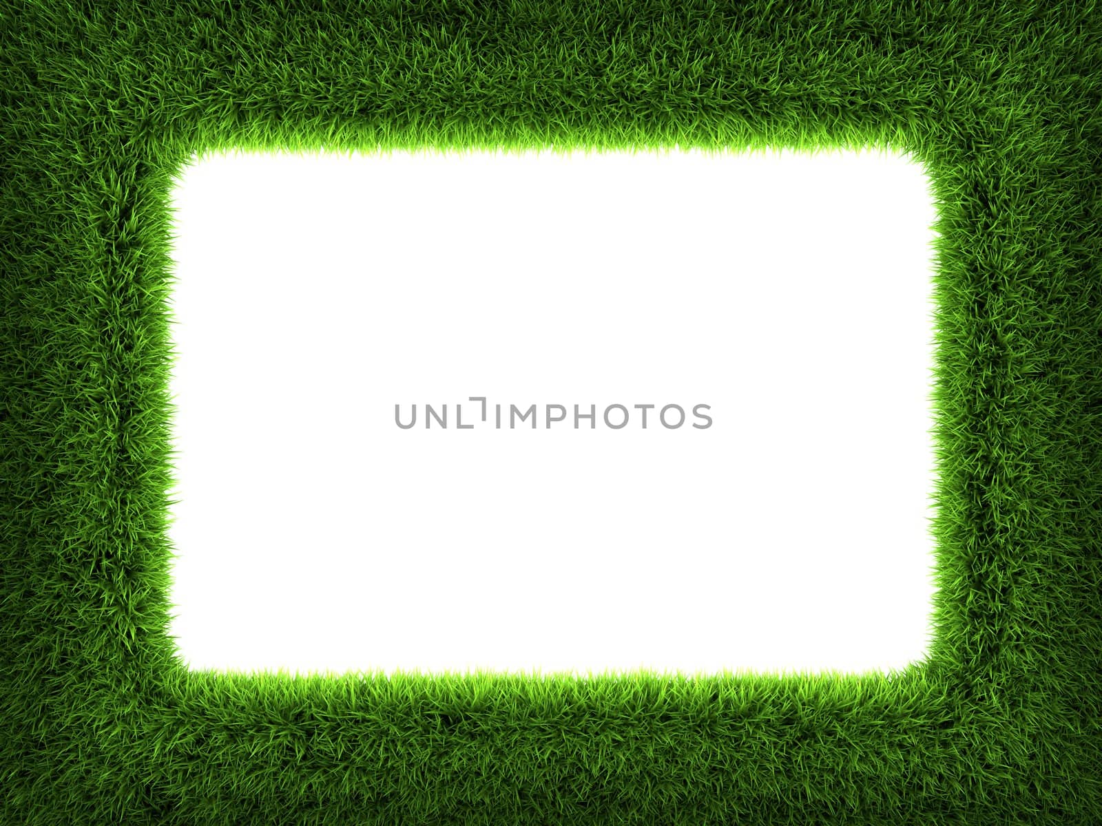 Fresh green grass frame isolated on white background. 3d render