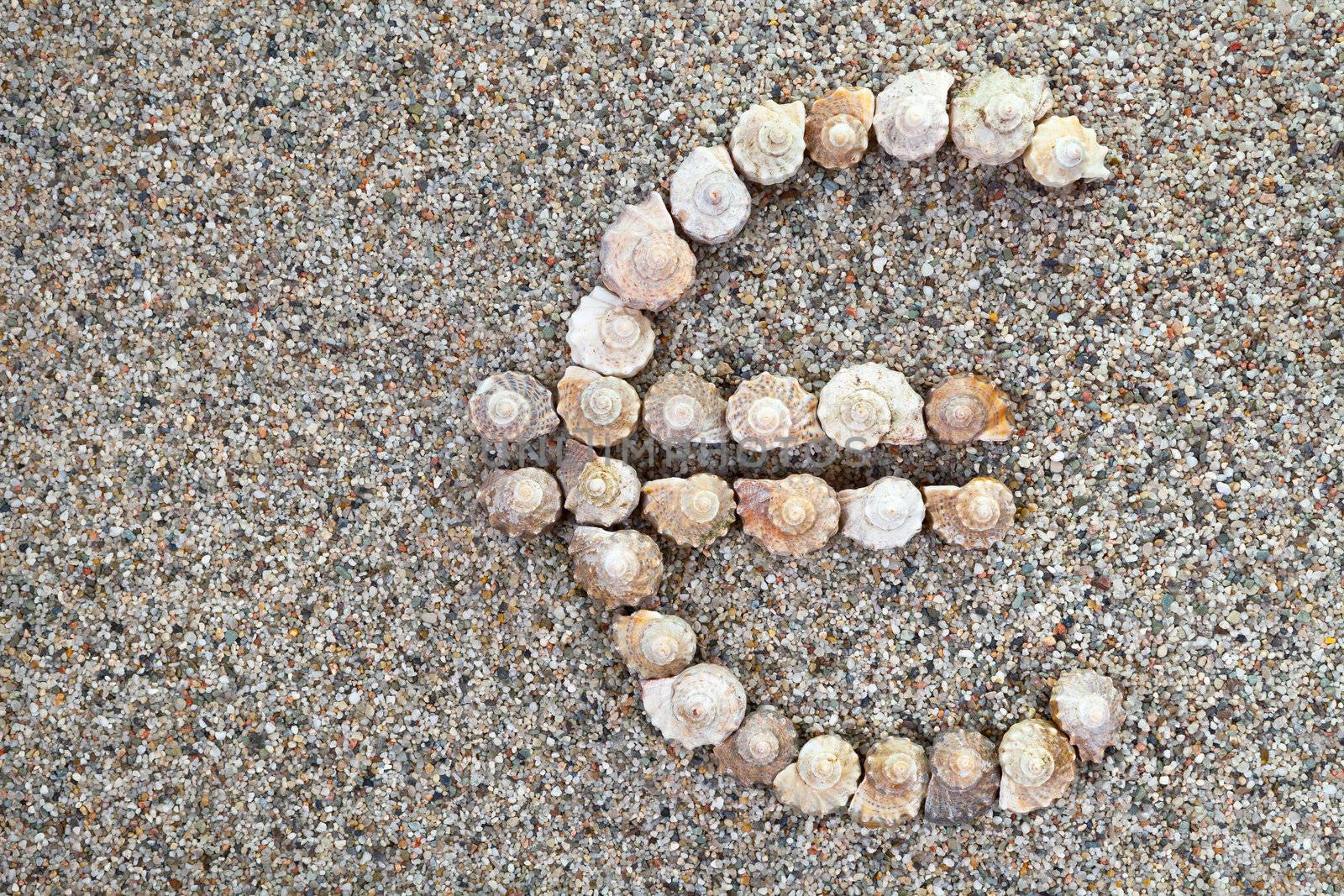 Euro sign made of seashells on sand with copy space