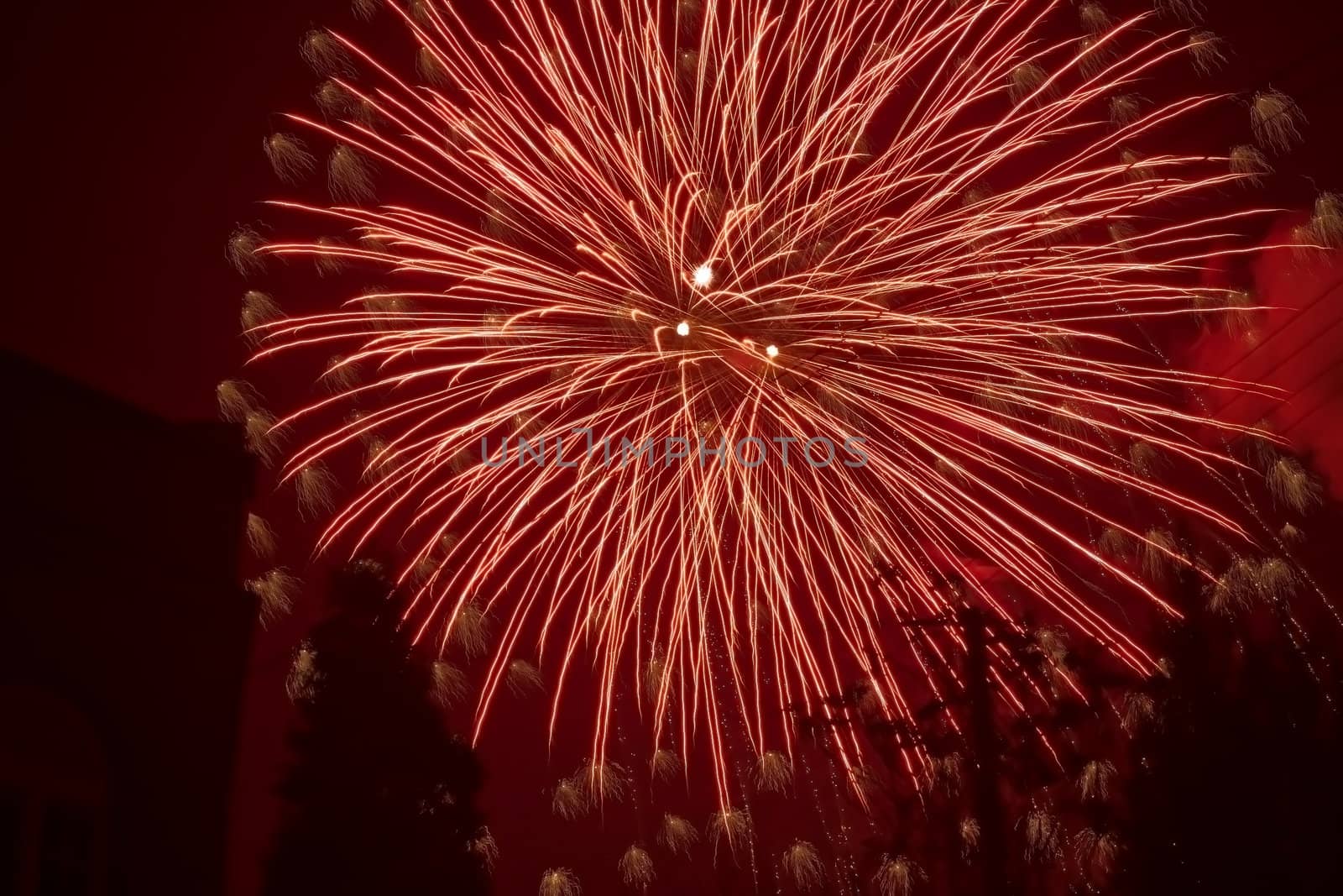 View from the trees festive huge fireworks in the night sky