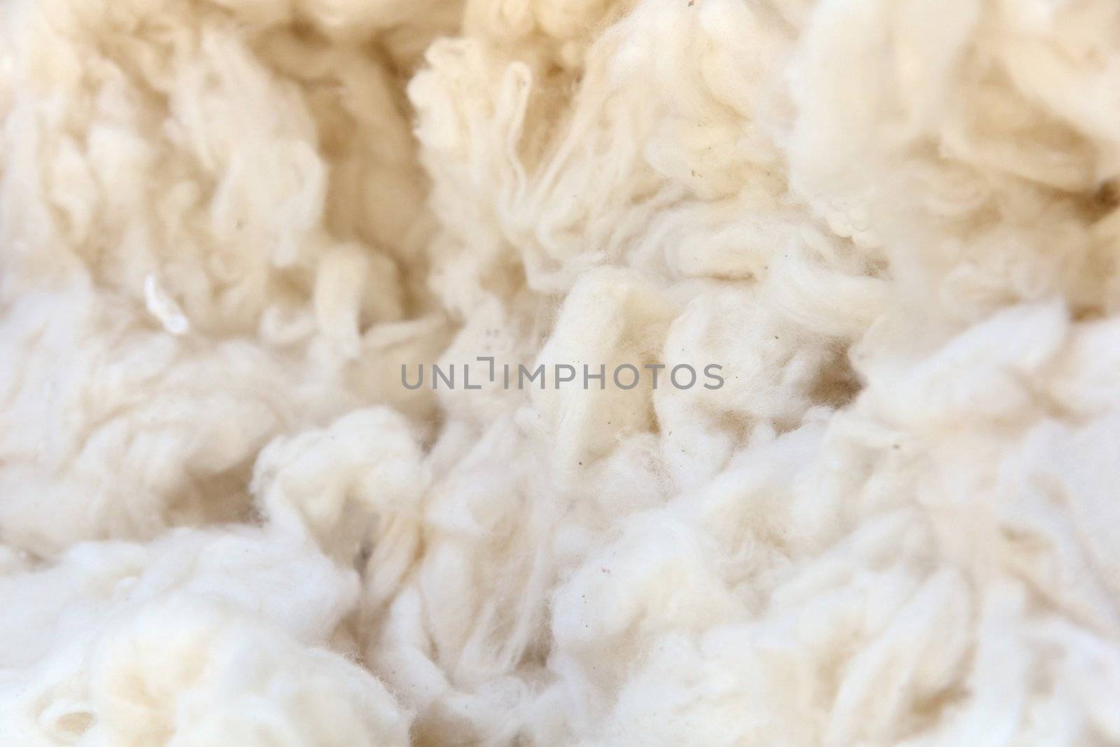 cotton wool background by ponsulak