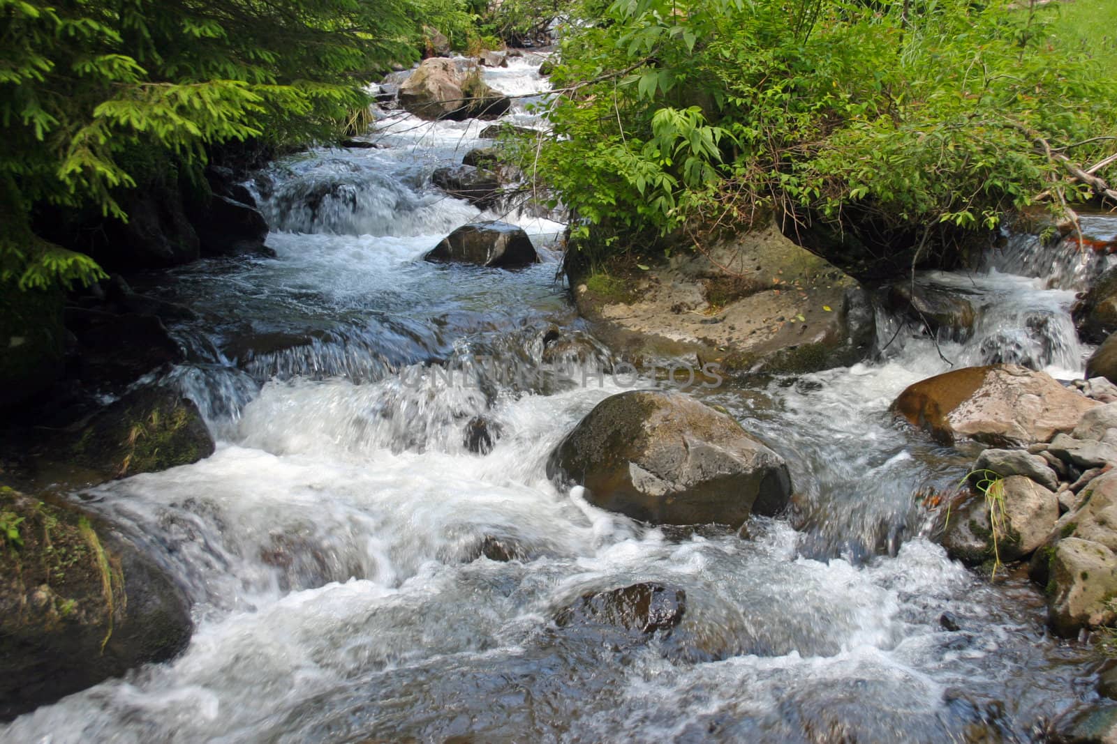 A mountain creek running swiftly among the rocks.