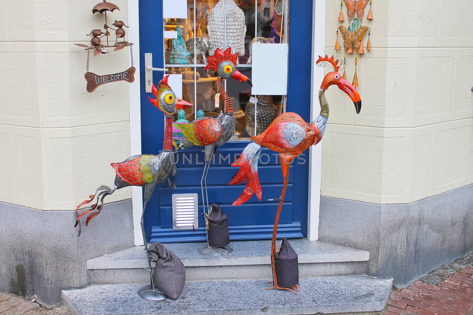 Birds near the gift shop in Valkenburg. Netherlands by NickNick