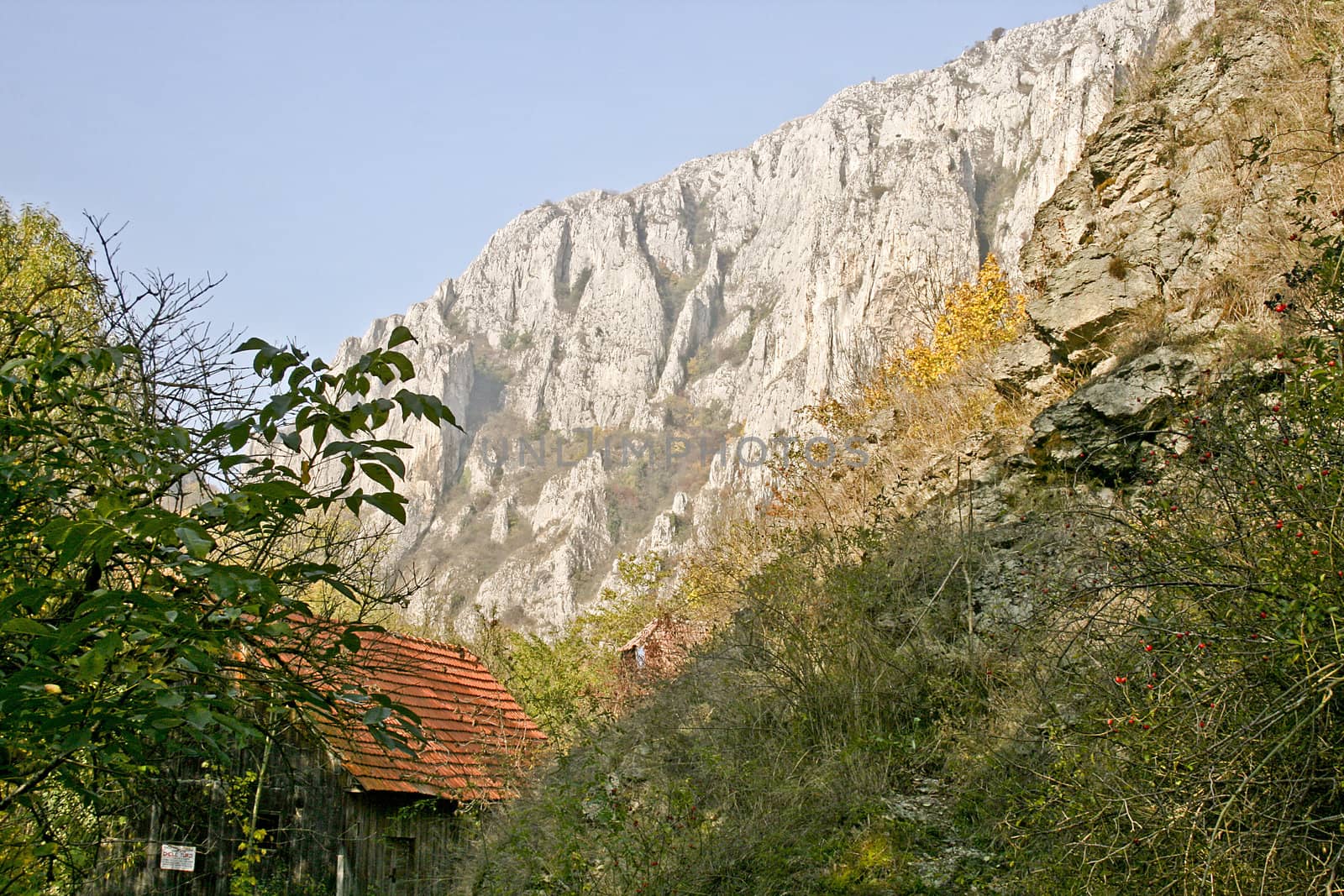Rock at the Turda Gorges in Transylvania, Romania