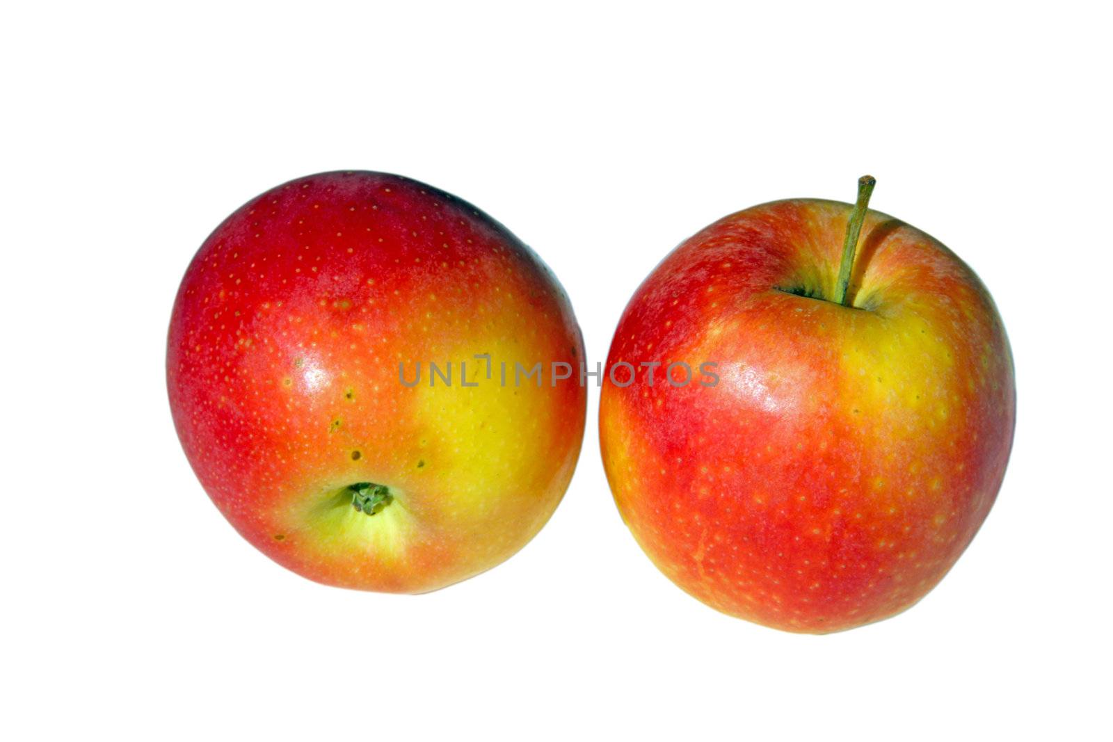 Two apples in red and greenish color