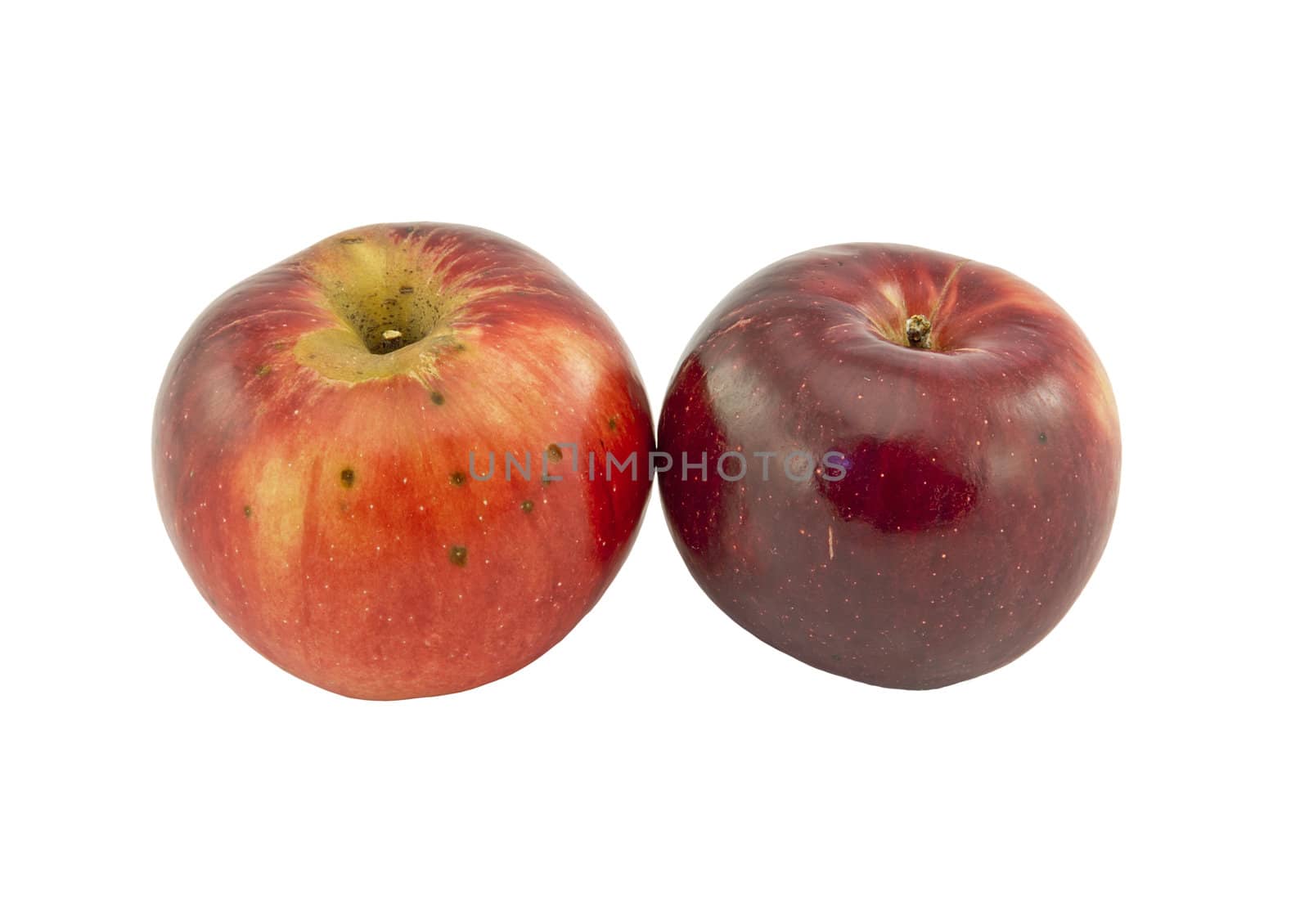 Closeup of two red apples isolated on white