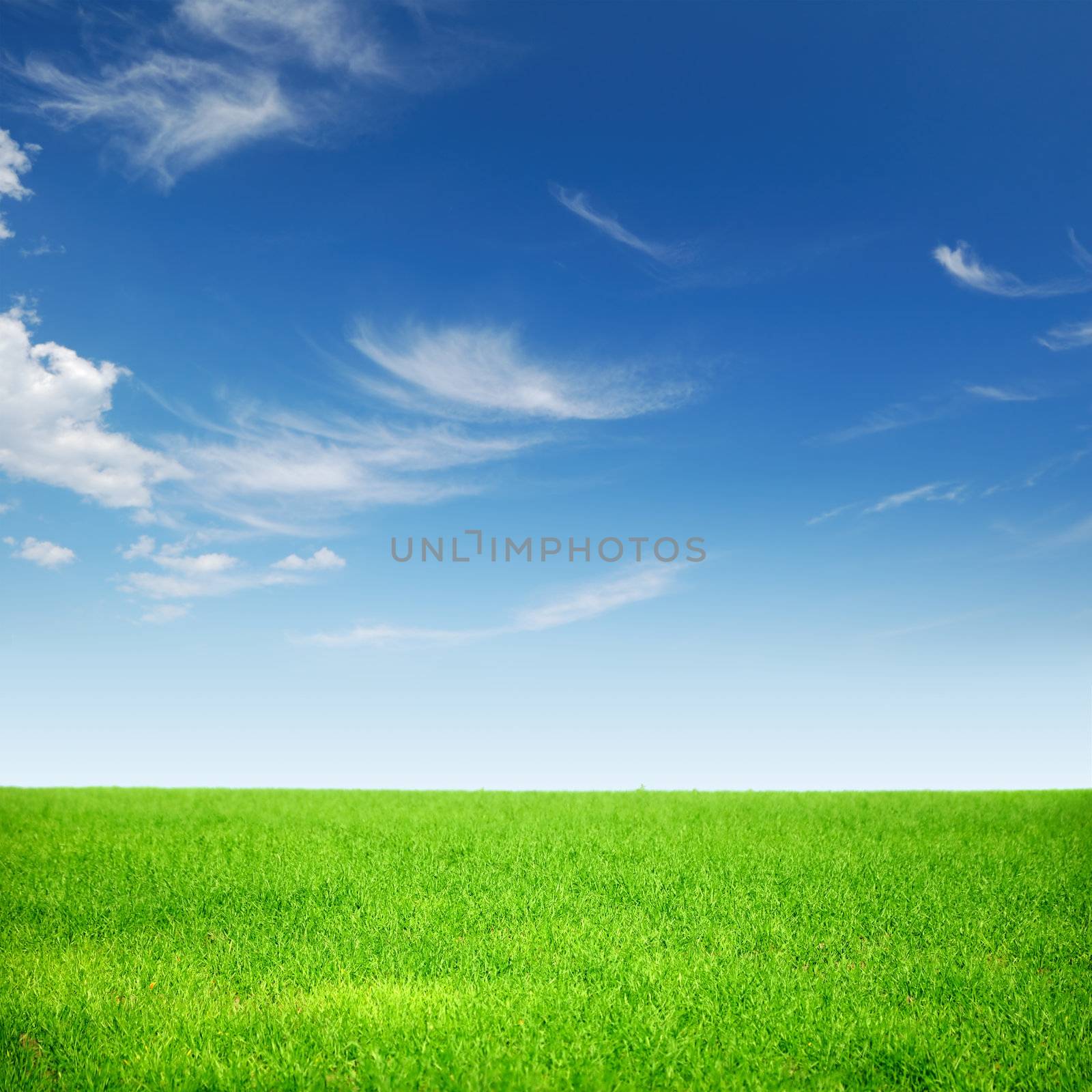 The white clouds in the blue sky green grass by a393978551