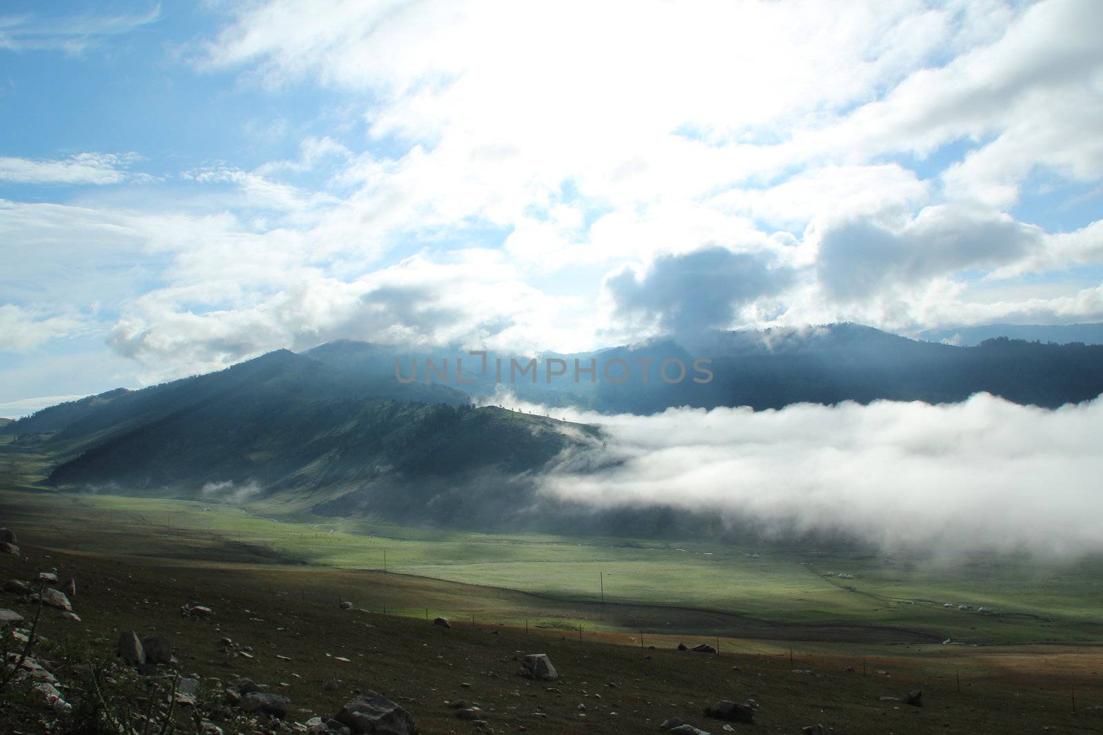 The white clouds in the blue sky green grass by a393978551