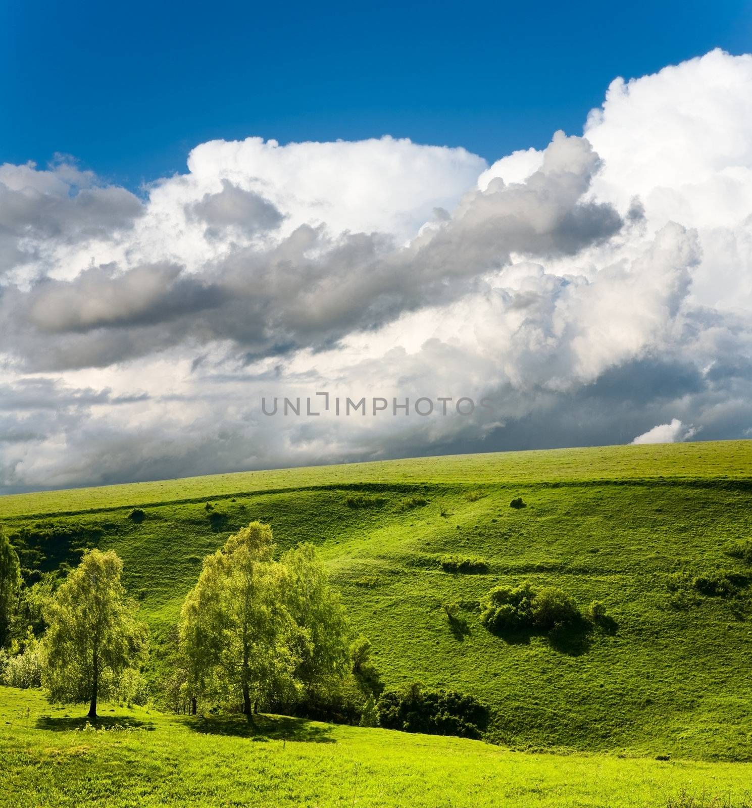 The white clouds in the blue sky green grass by a393978551