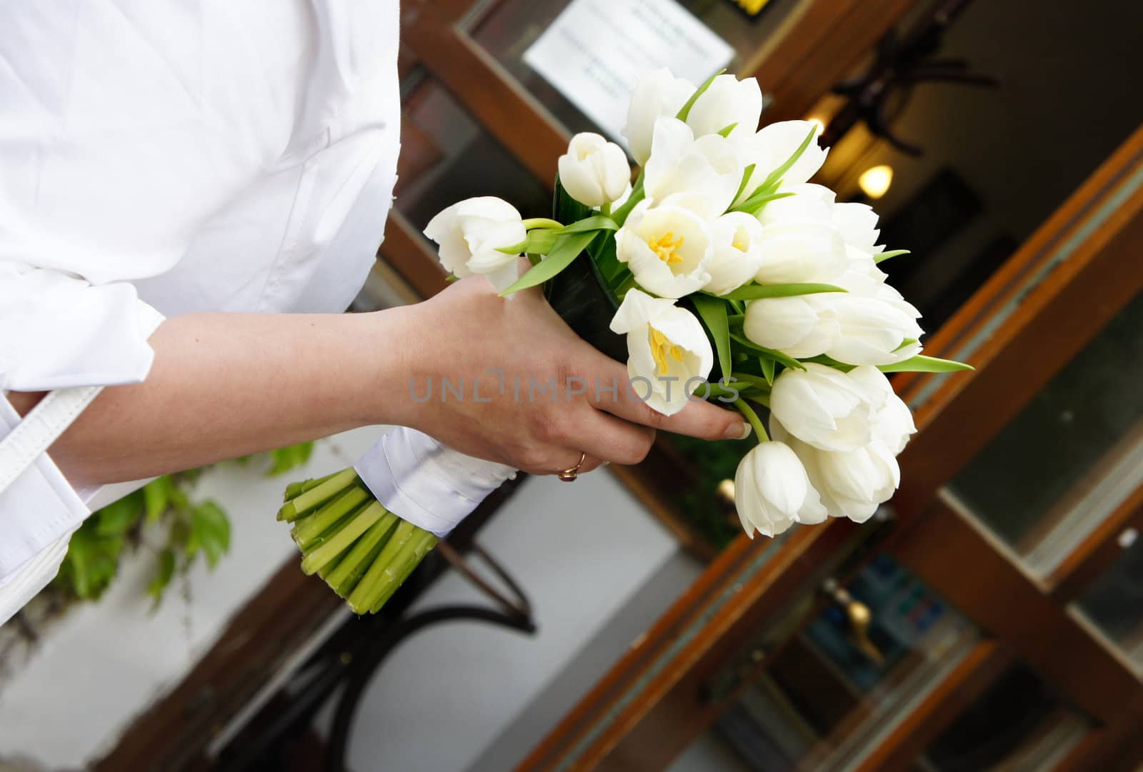 Wedding bouquet of white tulips in the bride�s hand  by tanouchka