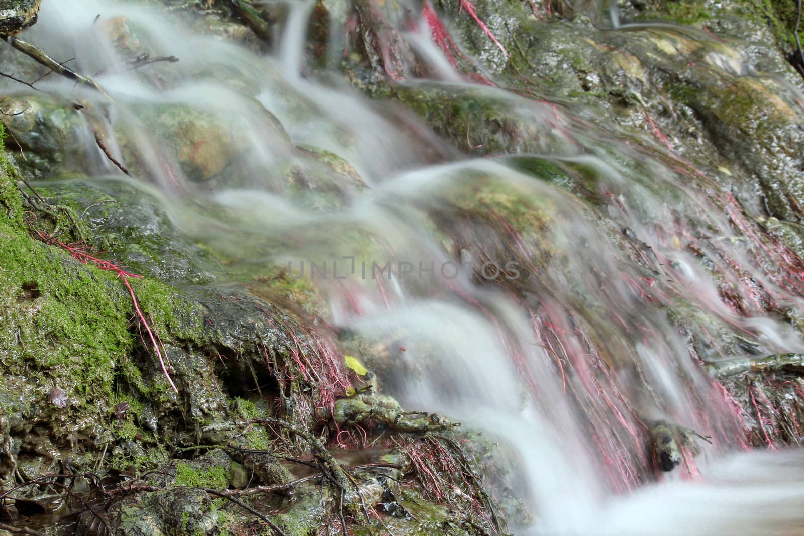 water spring scene