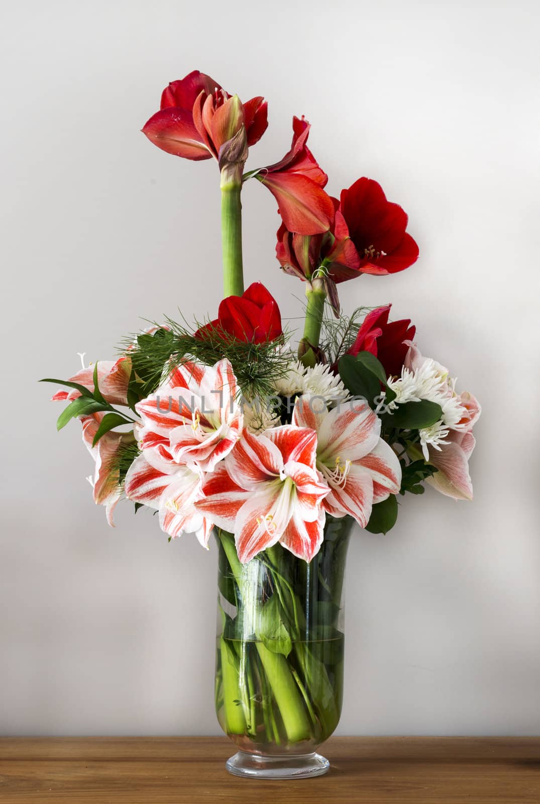 bouquet with amaryllis by compuinfoto