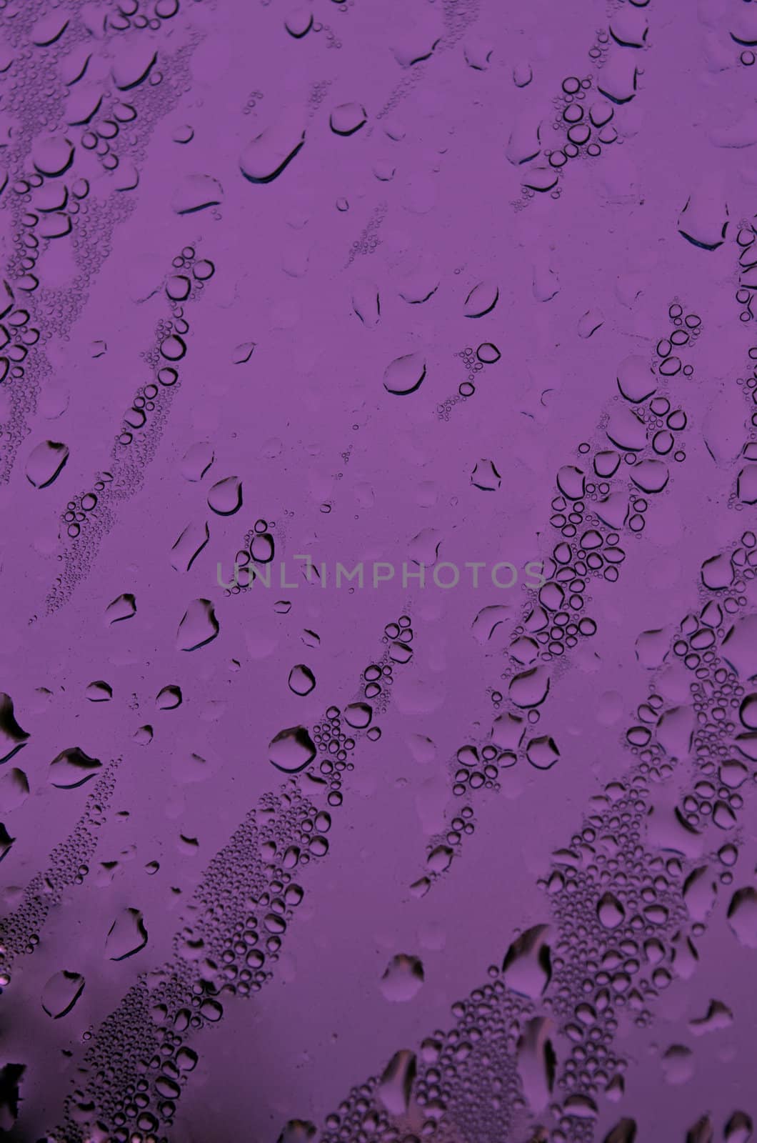 background with water drops in margenta color