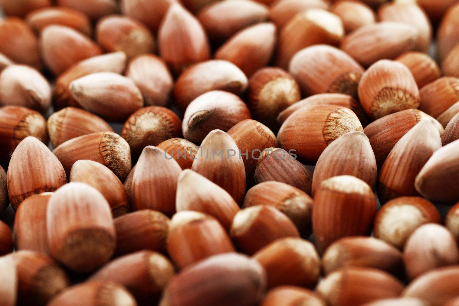 Hazelnut close up isolated (background)