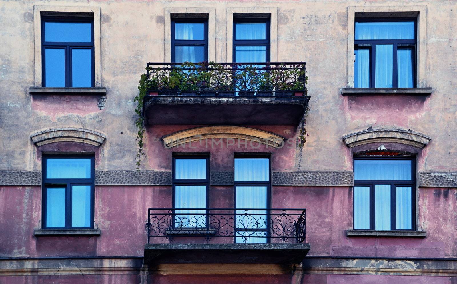 facade of an old house with metal balconies and overgrown with flowers