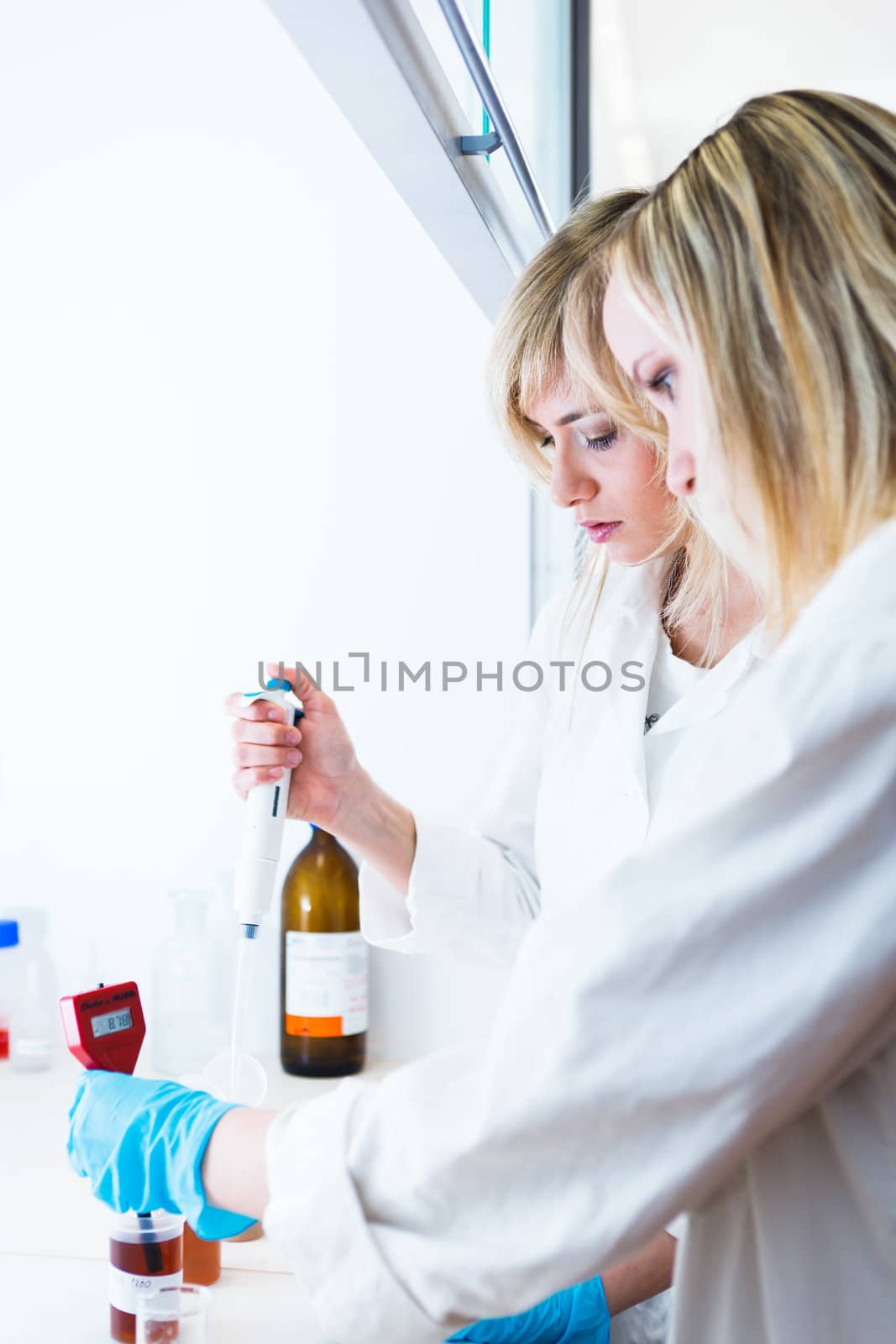 Two female researchers working in a laboratory by viktor_cap
